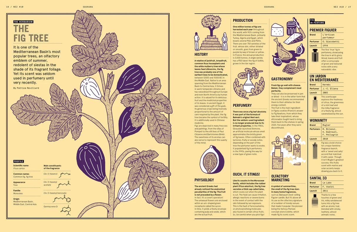 From the Nose to the Mouth – NEZ: The Olfactory Magazine (Issue 10)