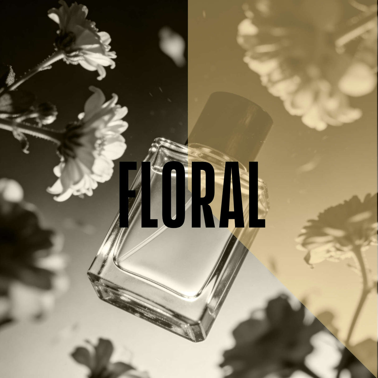 Nose Dive: Floral Fragrances Workshop Perfume & Cologne