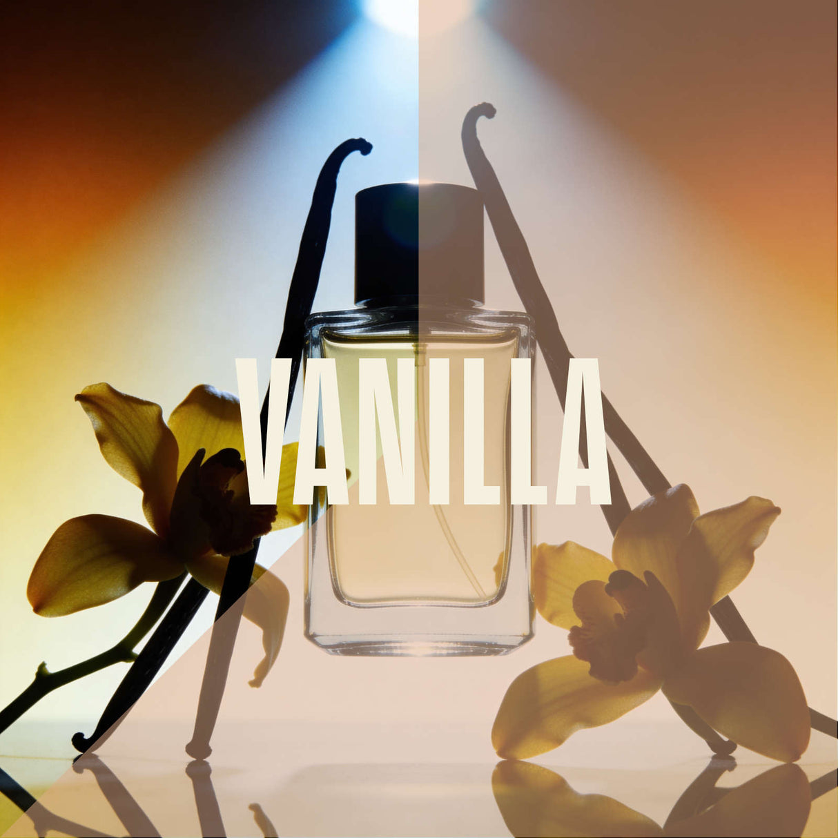 Nose Dive: The Many Faces of Vanilla, 21 May Perfume & Cologne