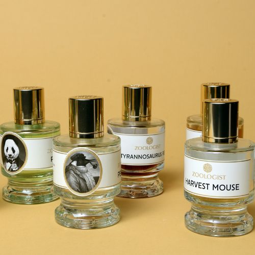 NOAH @ Night: Zoologist, 2 October Perfume & Cologne