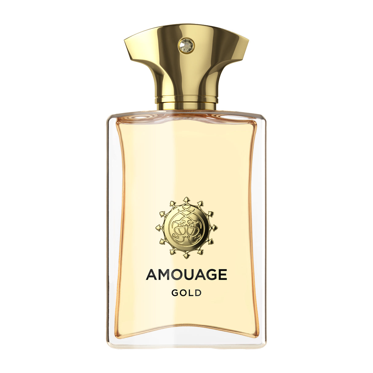 Amouage Gold Man Eau de Parfum 100ml Perfume & Cologne