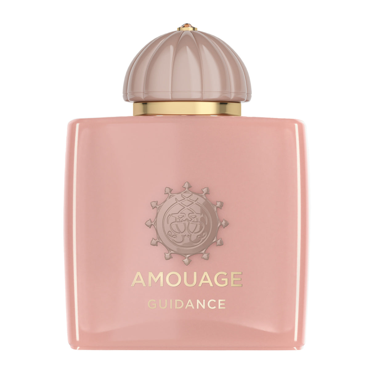 Amouage Guidance Woman Eau de Parfum 100ml Perfume & Cologne