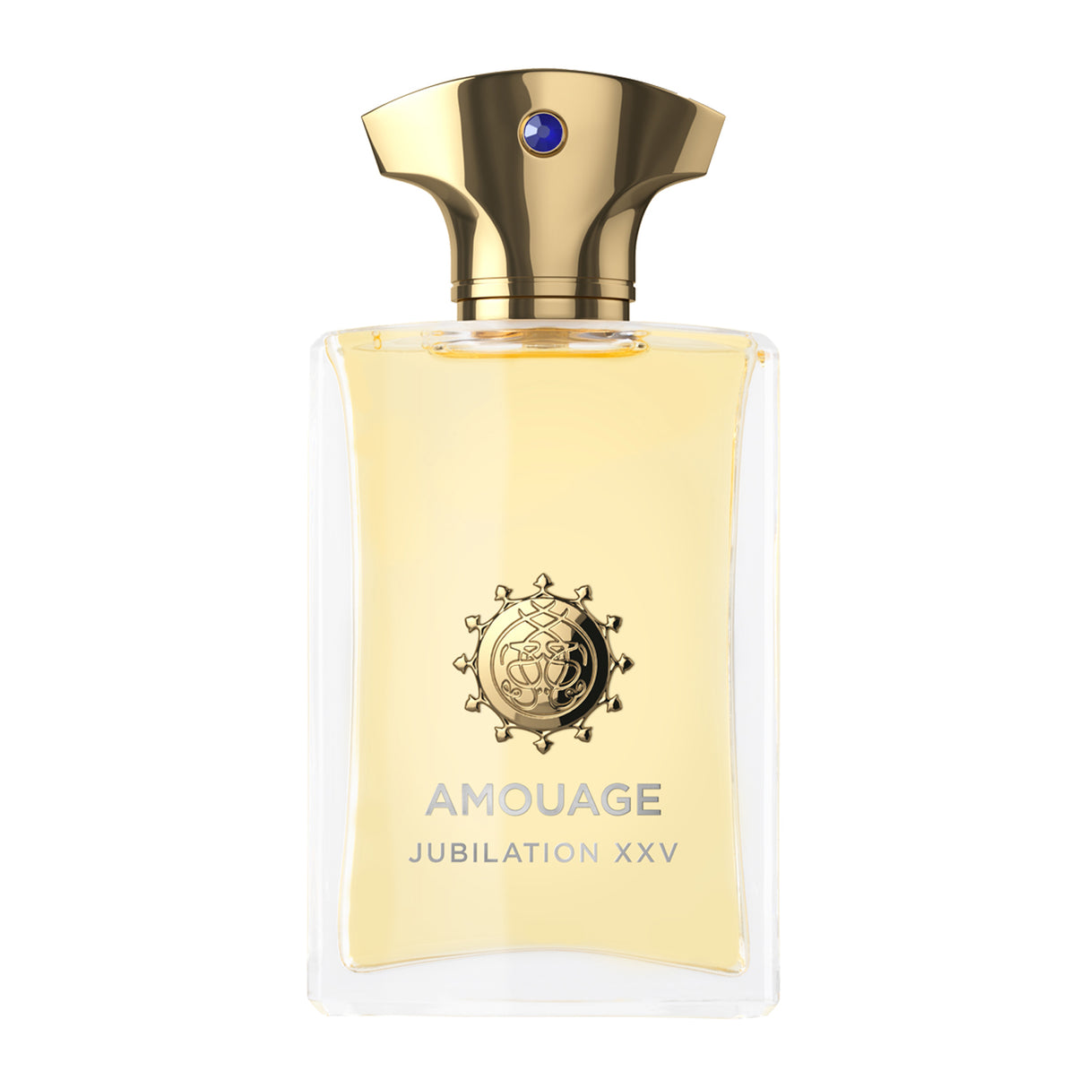 Amouage Jubilation XXV Man Eau de Parfum 100ml Perfume & Cologne