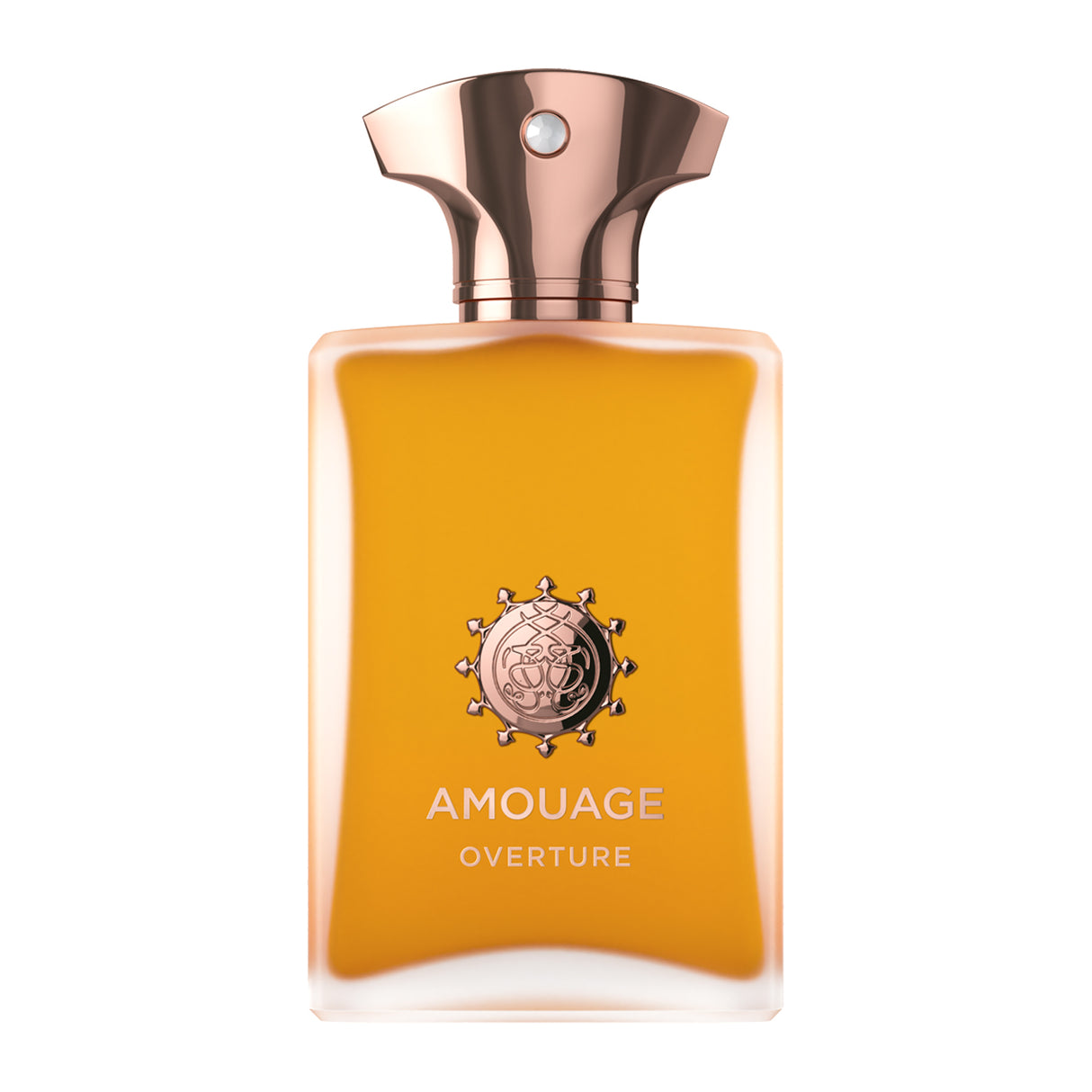 Amouage Overture Man Eau de Parfum 100ml Perfume & Cologne