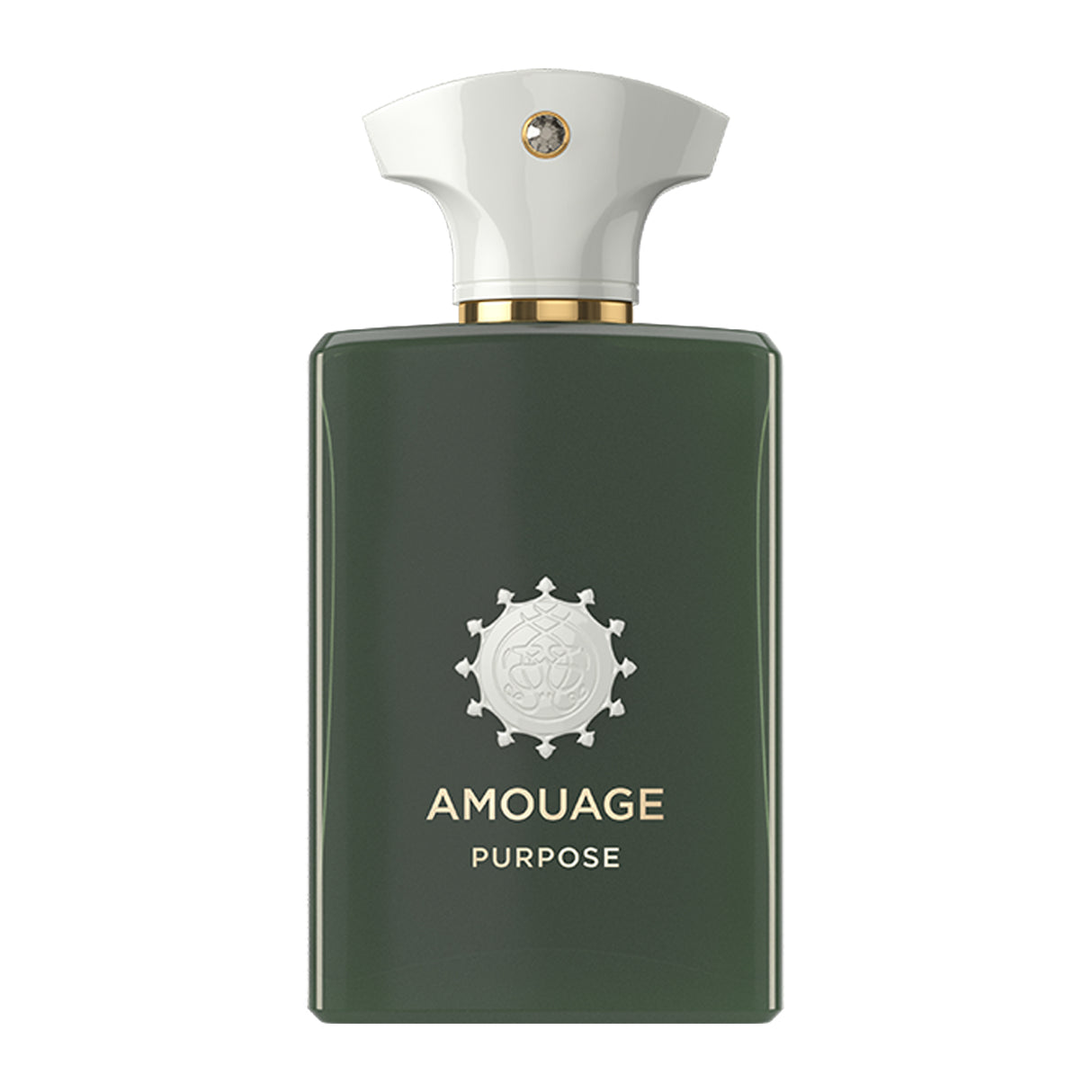 Amouage Purpose Eau de Parfum 100ml Perfume & Cologne