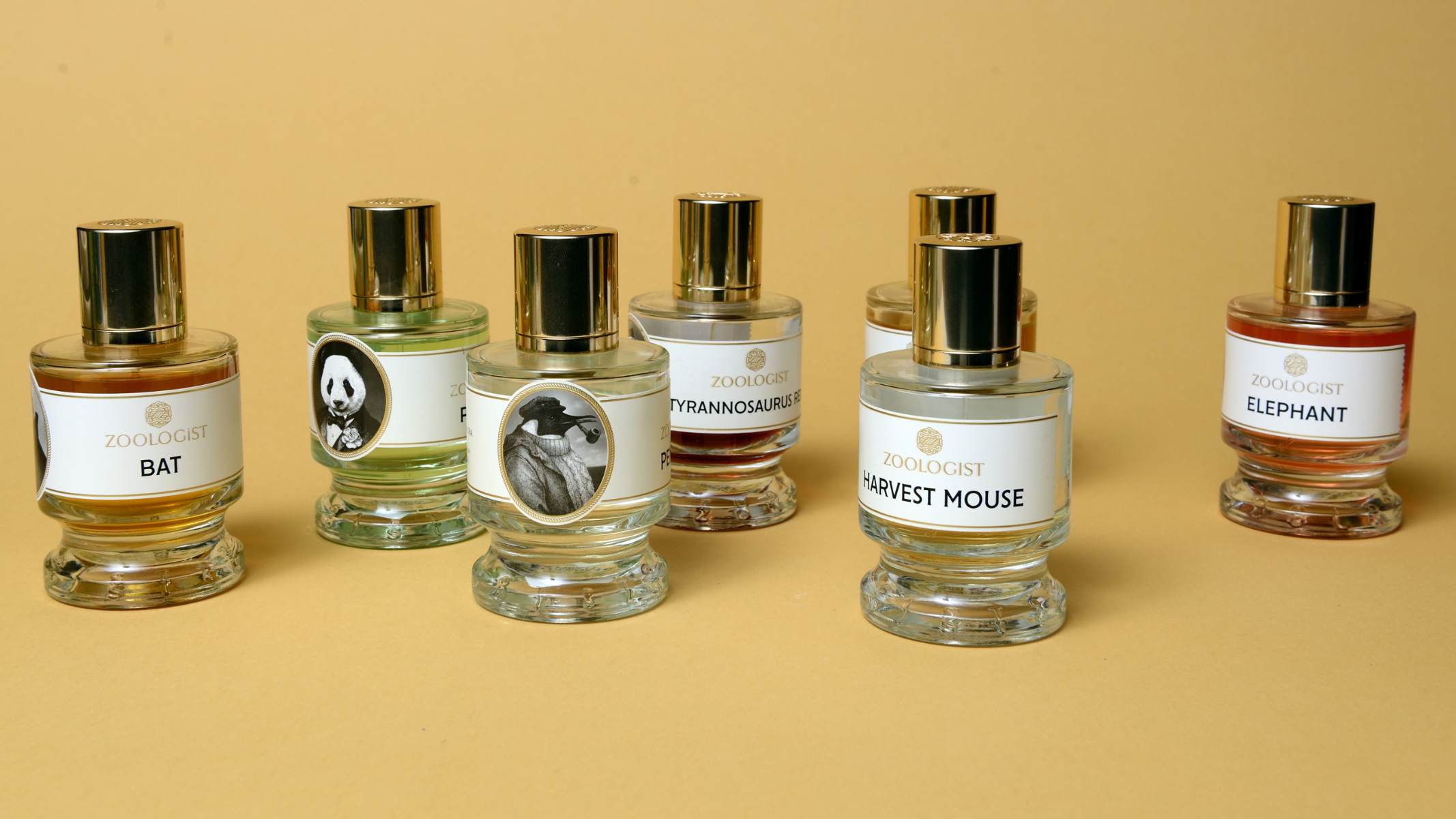 Heeley Zeste de Gingembre Eau de Parfum – NOAH