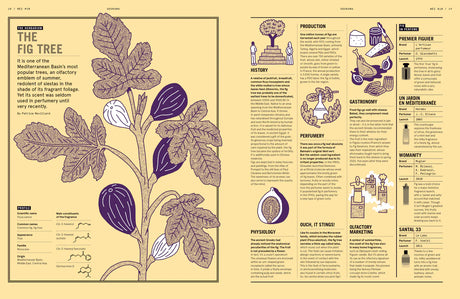 From the Nose to the Mouth – NEZ: The Olfactory Magazine (Issue 10)