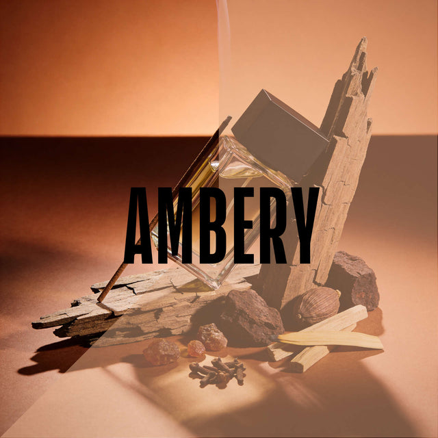 Nose Dive: Ambery Fragrances Workshop Perfume & Cologne
