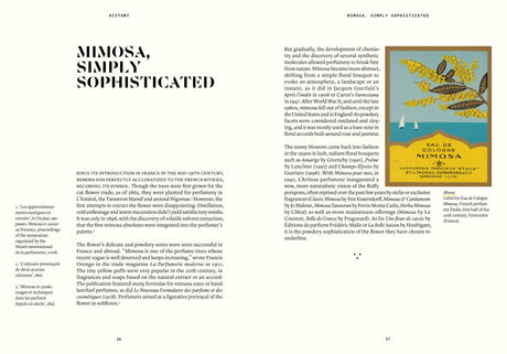 Mimosa in Perfumery - The Naturals Notebook by NEZ + LMR