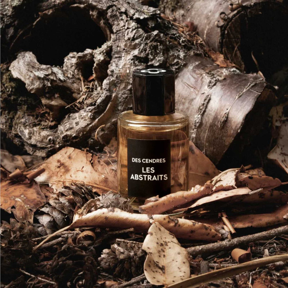 Les Abstraits Des Cendres Eau de Parfum