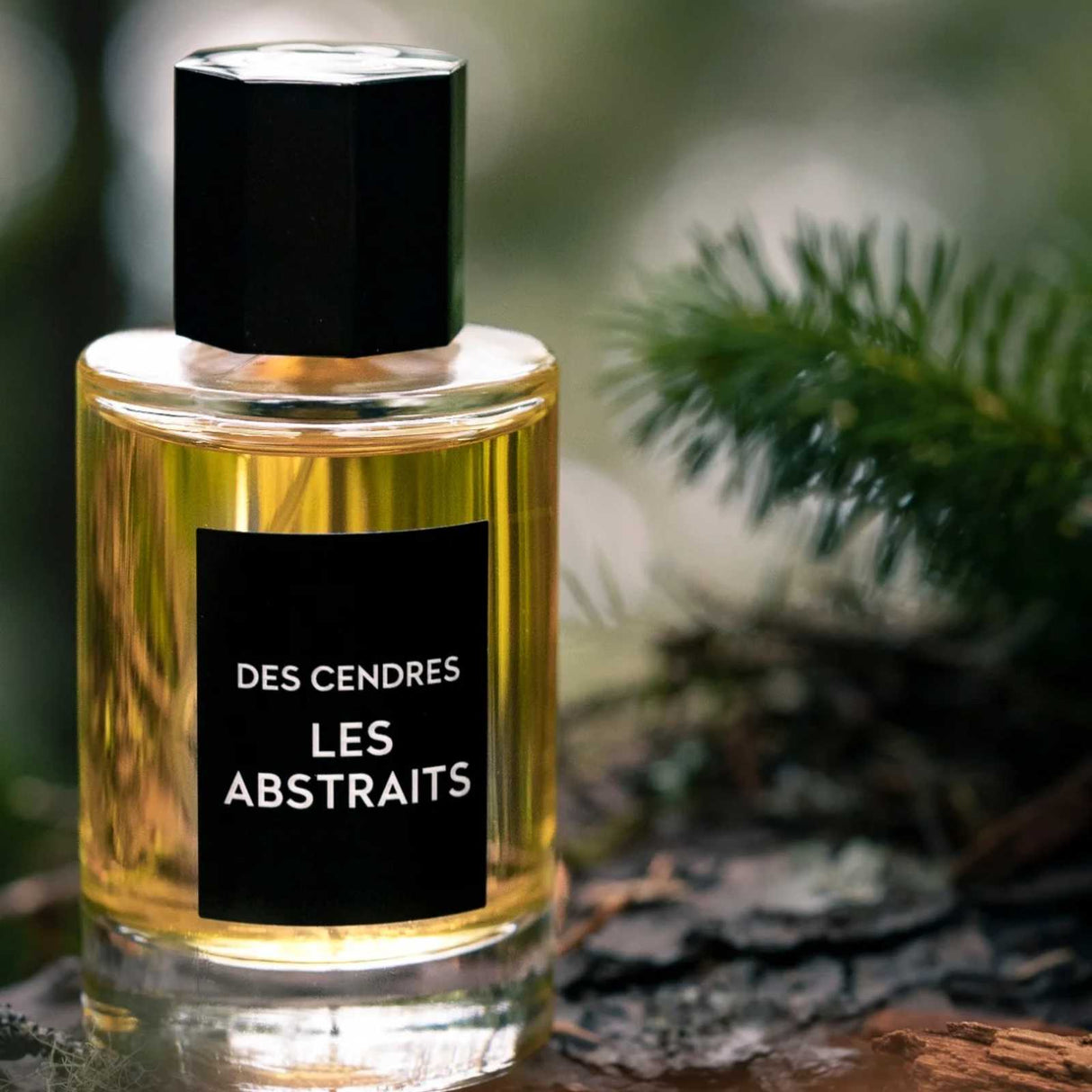 Les Abstraits Des Cendres Eau de Parfum