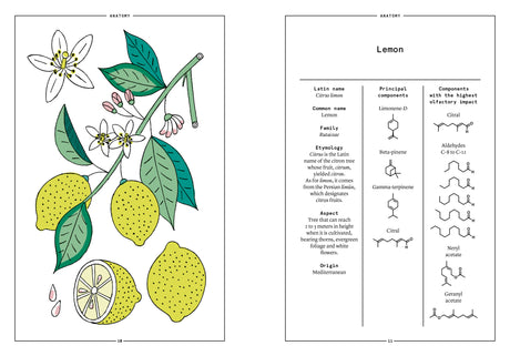 Lemon in Perfumery - The Naturals Notebook by NEZ + LMR