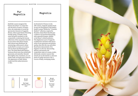 Magnolia in Perfumery - The Naturals Notebook by NEZ + LMR