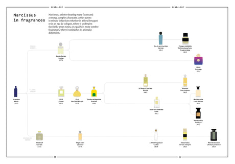 Narcissus in Perfumery - The Naturals Notebook by NEZ + LMR