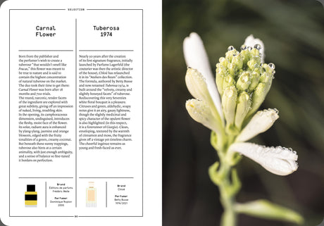 Tuberose in Perfumery - The Naturals Notebook by NEZ + LMR