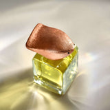 Mendittorosa Re-Evolution Extrait de Parfum