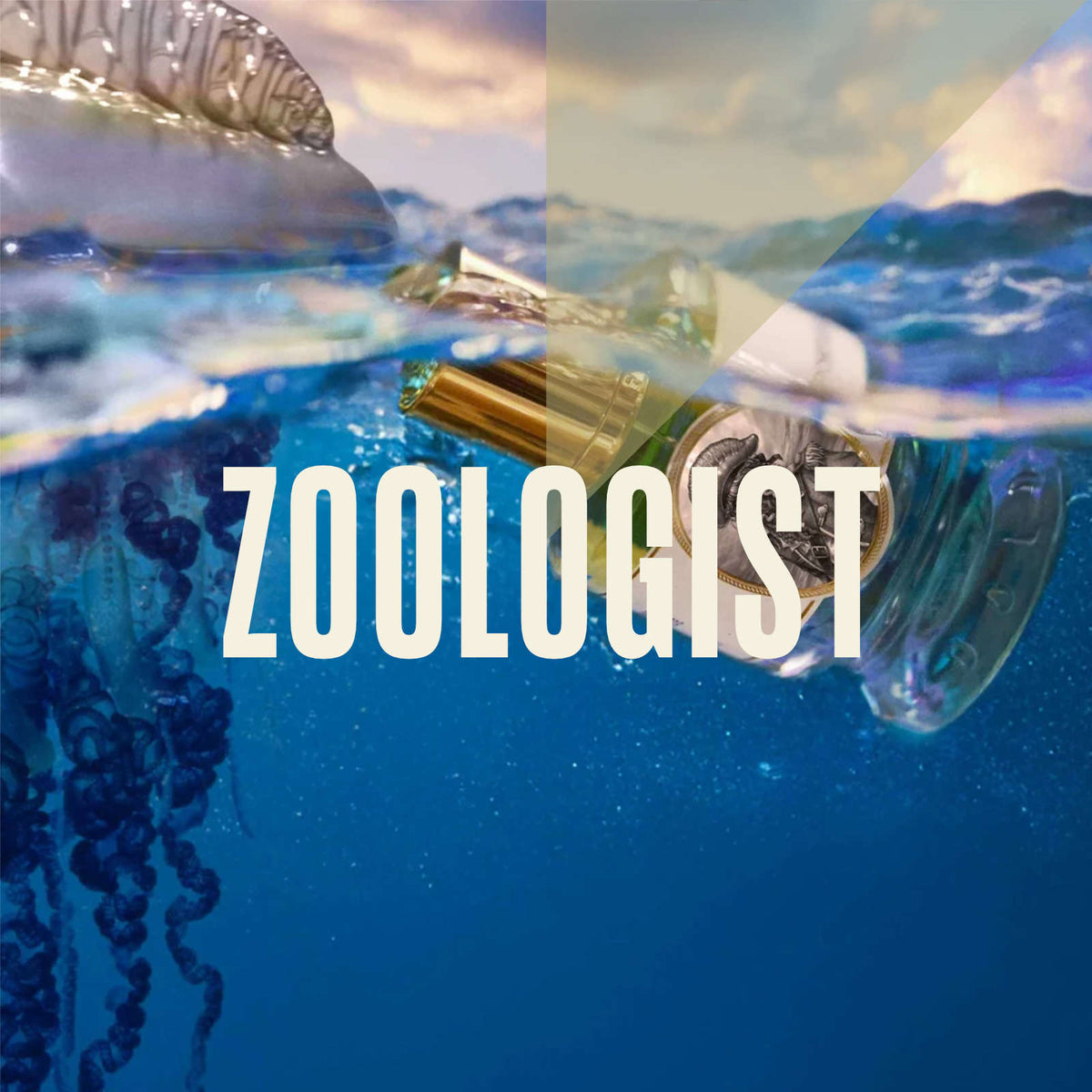 Nose Dive: Zoologist - From Jungle to Ocean