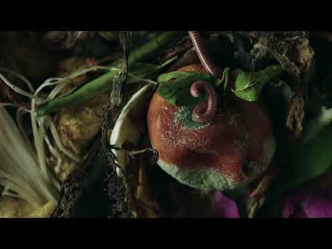 ETAT LIBRE D'ORANGE I AM TRASH ゴミの花 50ml Amazon.com: Etat Libre d'Orange I Am Trash Les Fleurs De